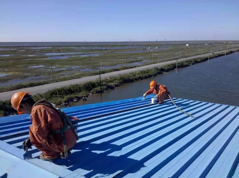 西峡彩钢瓦屋面防腐翻新